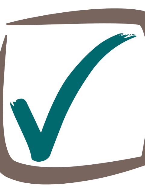 VMicon