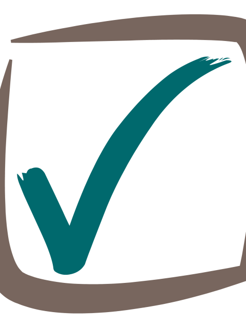 VMicon