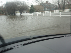 Flood 08
