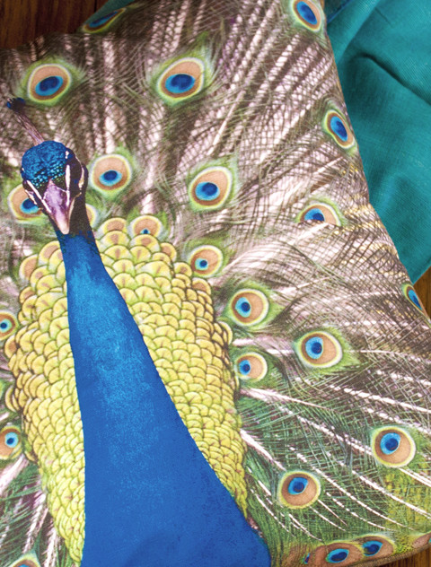 faded_peacock_on_floor_2