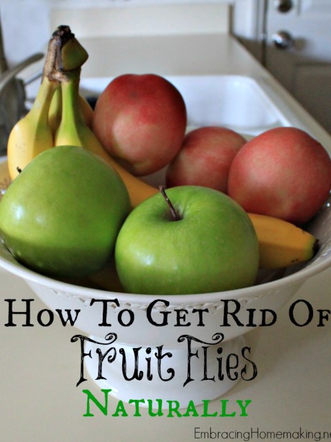 How-to-Get-Rid-of-Fruit-Flies-Naturally.jpg