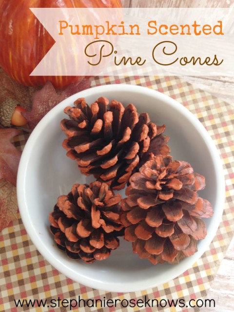 Pumpkin-Scented-Pine-Cones.jpg